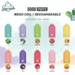 POD DESCARTÁVEL 5% MR. FREEZE 5000 PUFFS MESH COIL - MR. FREEZE